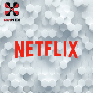 NETFLIX PREMIUM - 1 GODINA